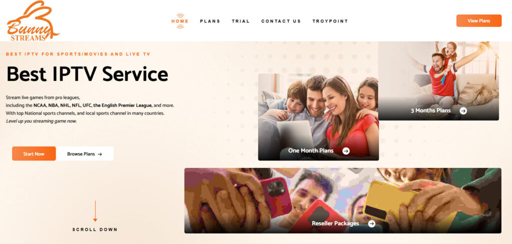 Bunny Streams Homepage